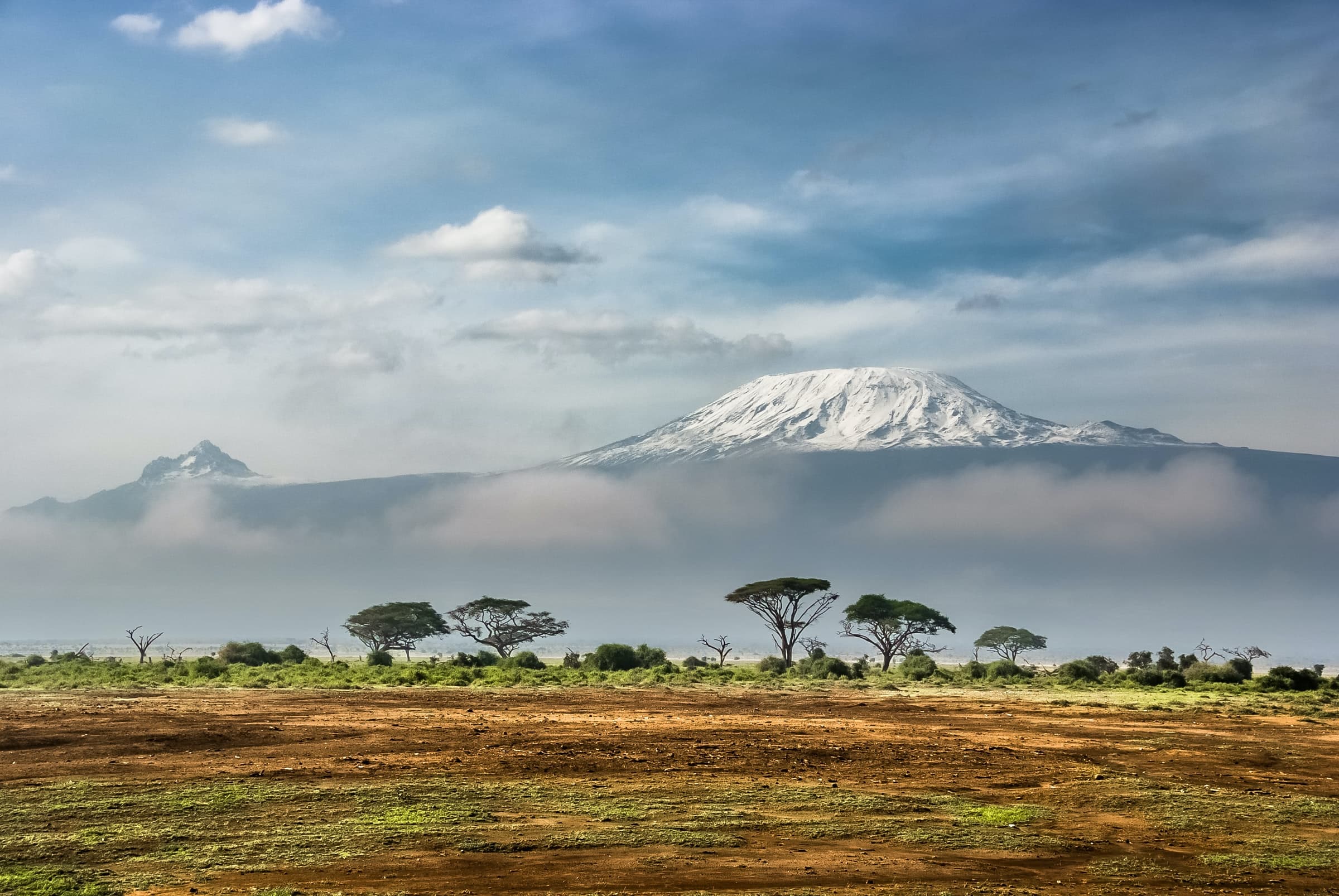 Widows Harvest Africa in Kenya
