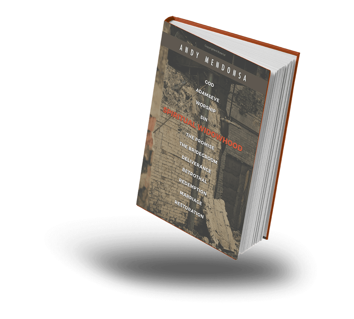 Spiritual Widowhood book by Andy Mendonsa