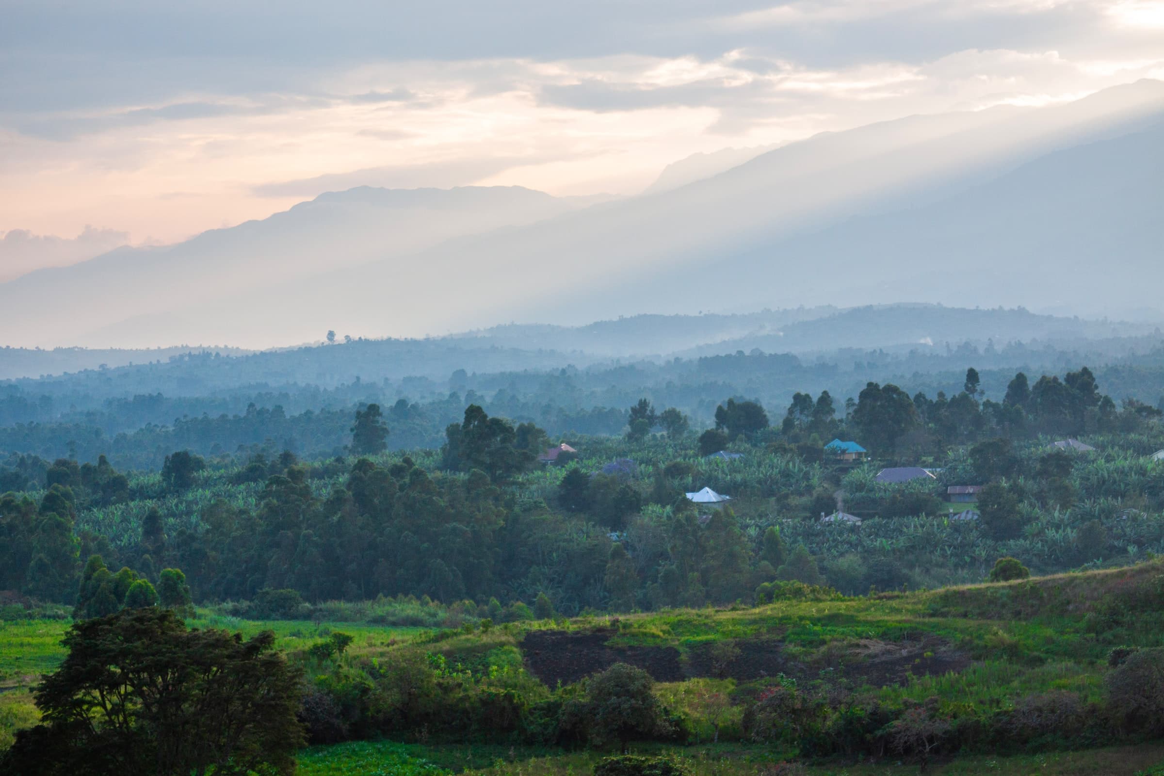 Kenyan countryside